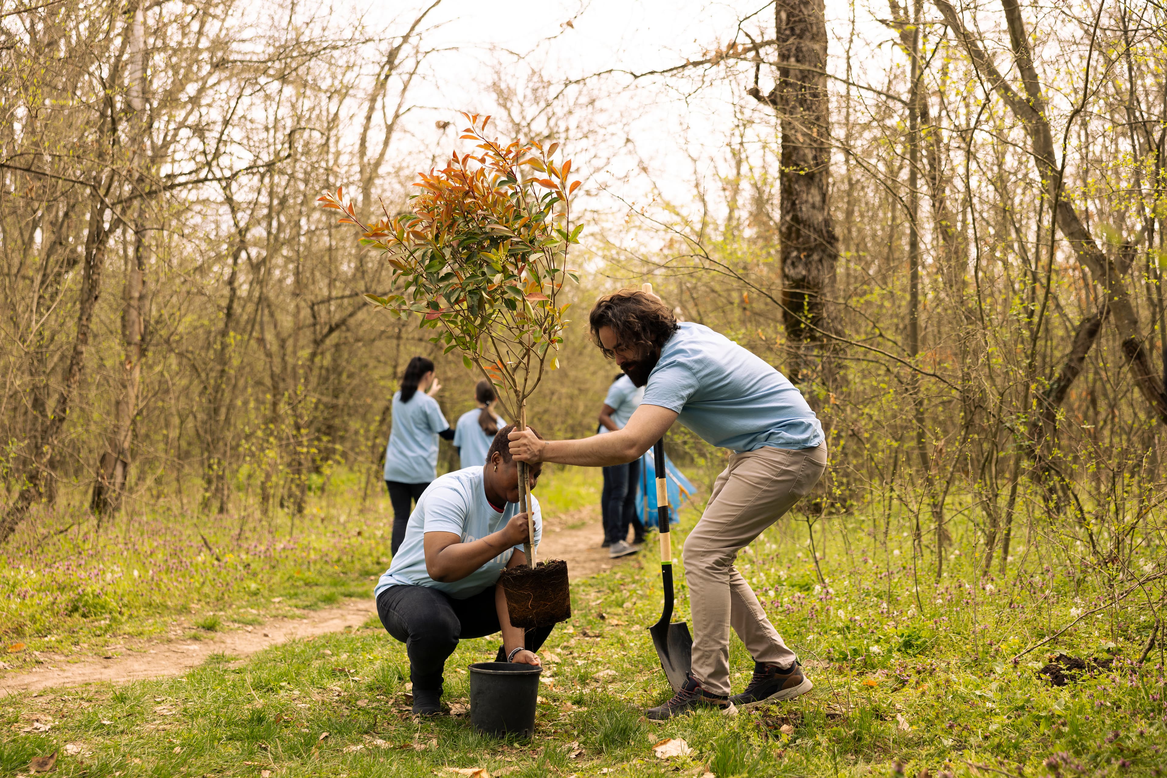 Team planting trees